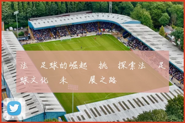 法國足球的崛起與挑戰探索法國足球文化與未來發展之路