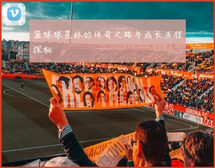 篮球球星林的传奇之路与成长历程探秘